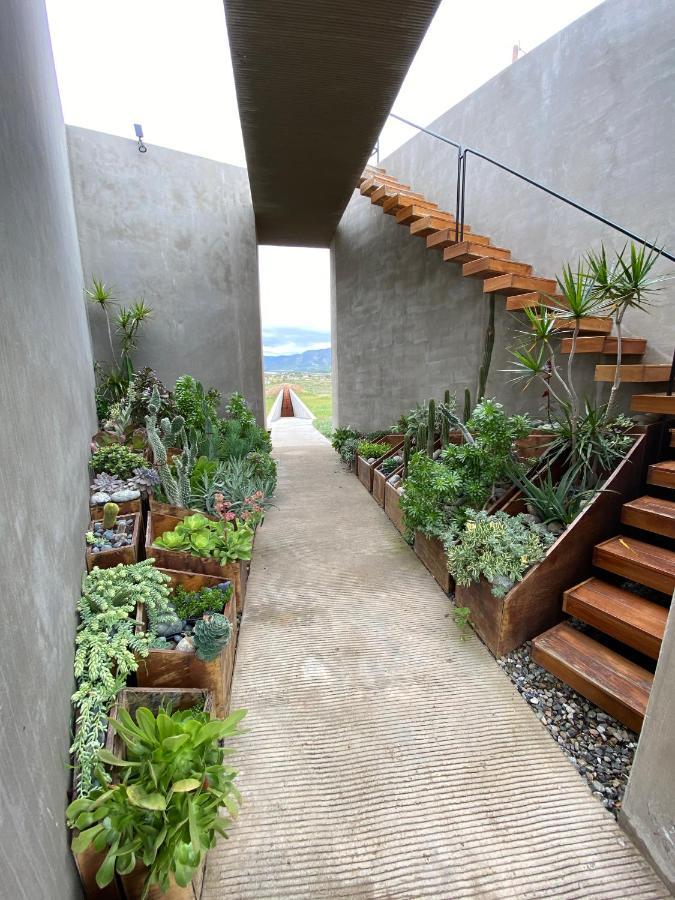 Bed and Breakfast Santulan Valle de Guadalupe Esterno foto