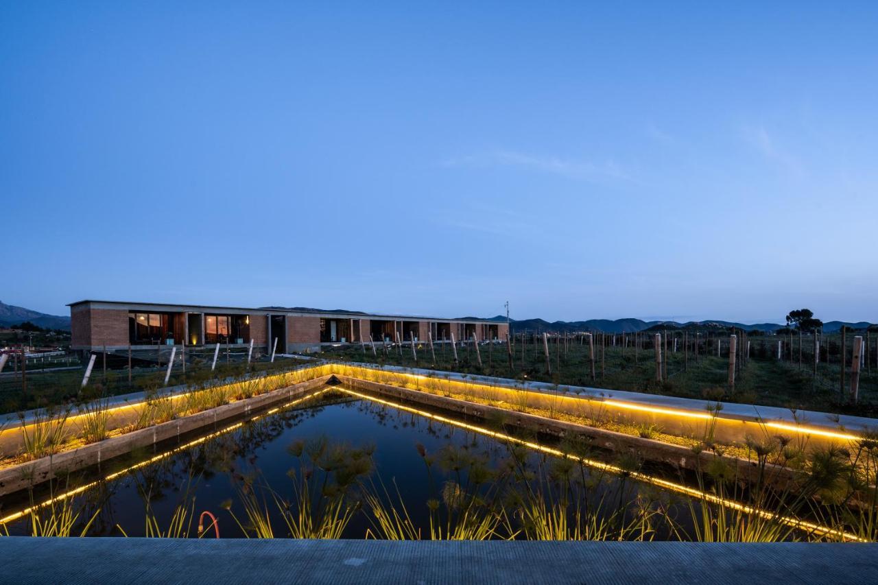 Bed and Breakfast Santulan Valle de Guadalupe Esterno foto