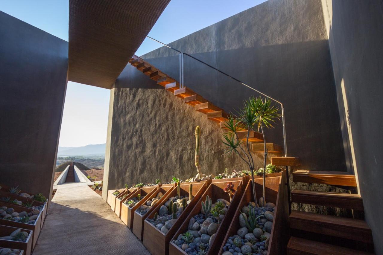 Bed and Breakfast Santulan Valle de Guadalupe Esterno foto